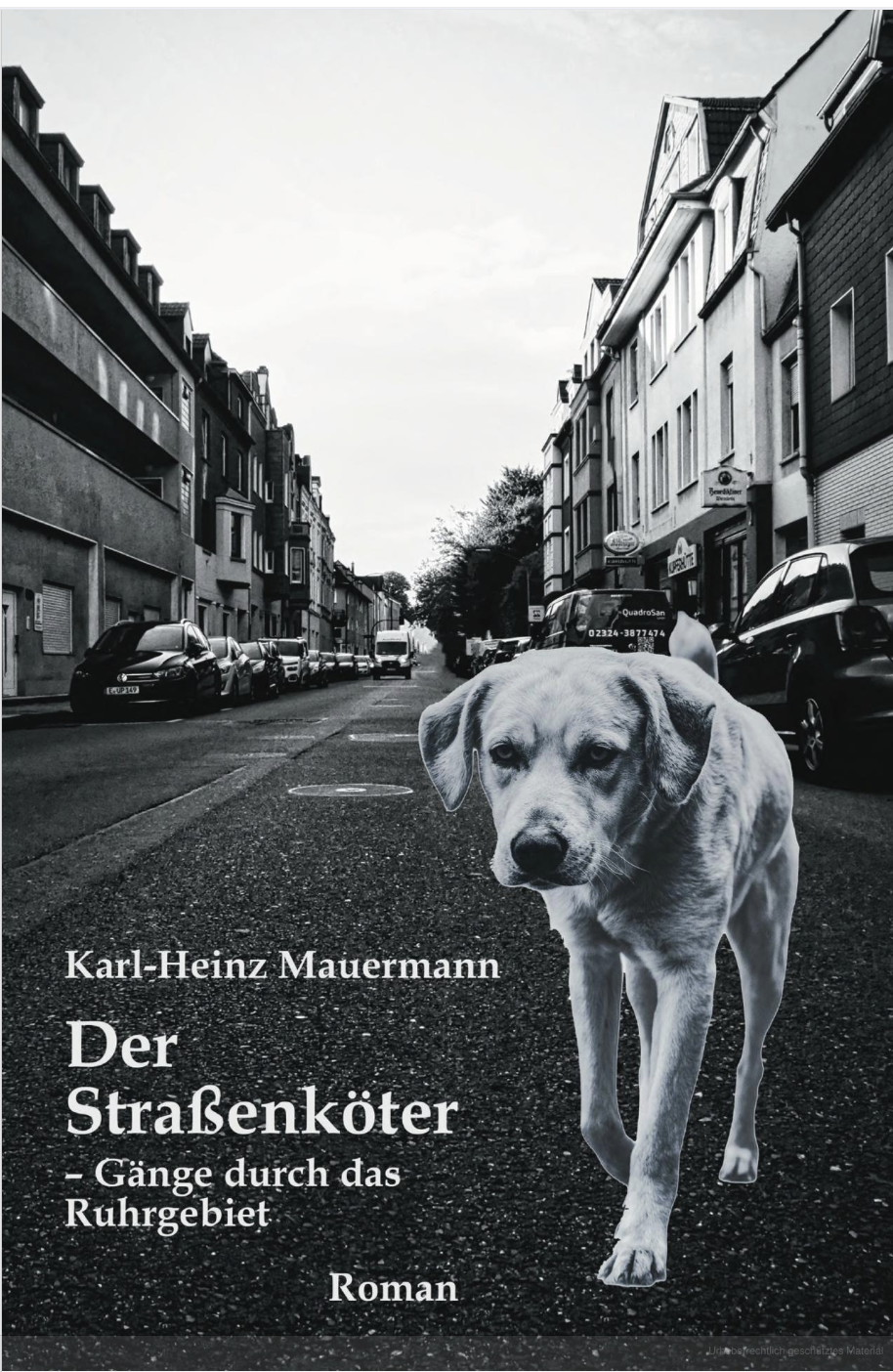 Portada de la novela Der Straßenköter – Gänge durch das Ruhrgebiet, de Karl-Heinz Mauermann